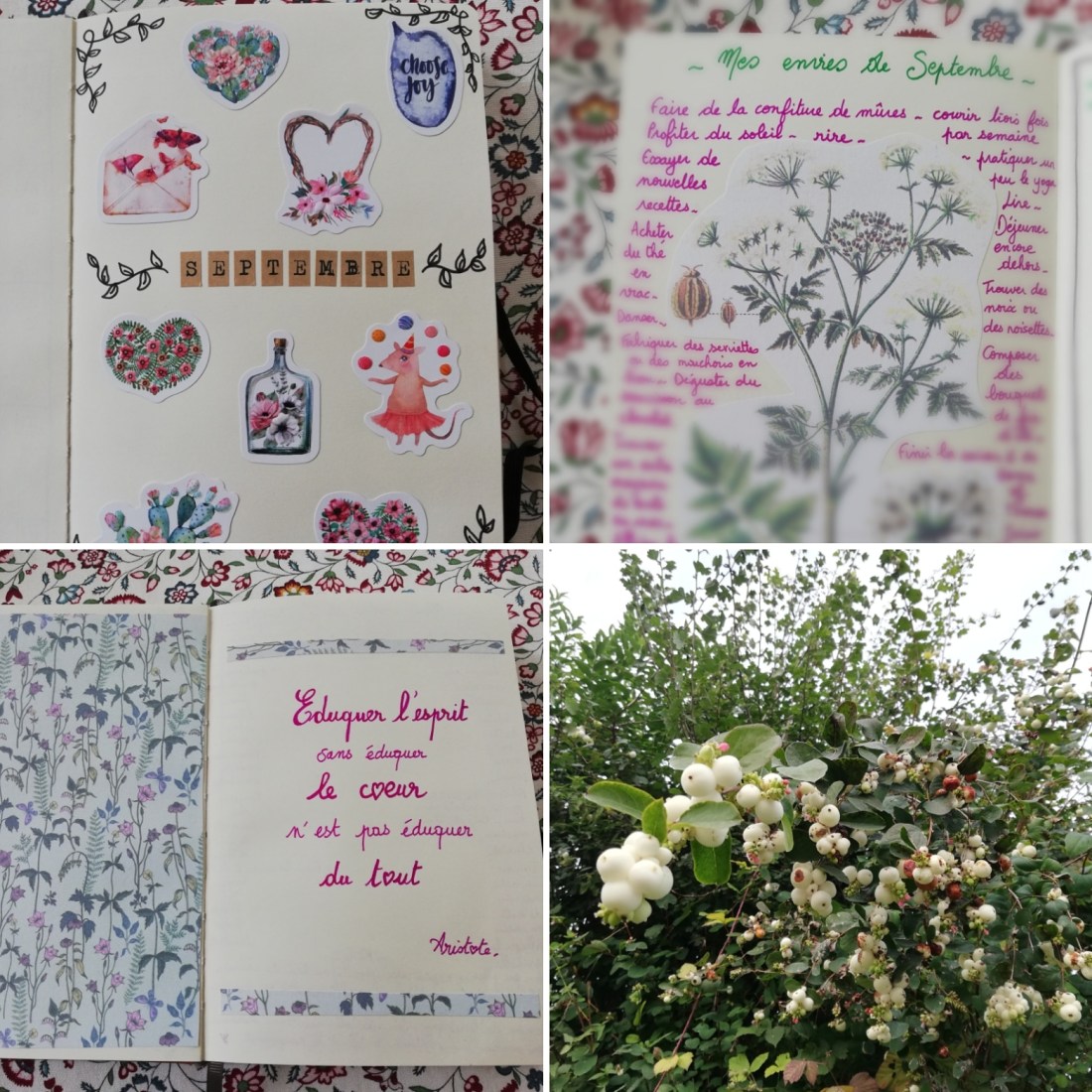 IMG_20180912_151102_037