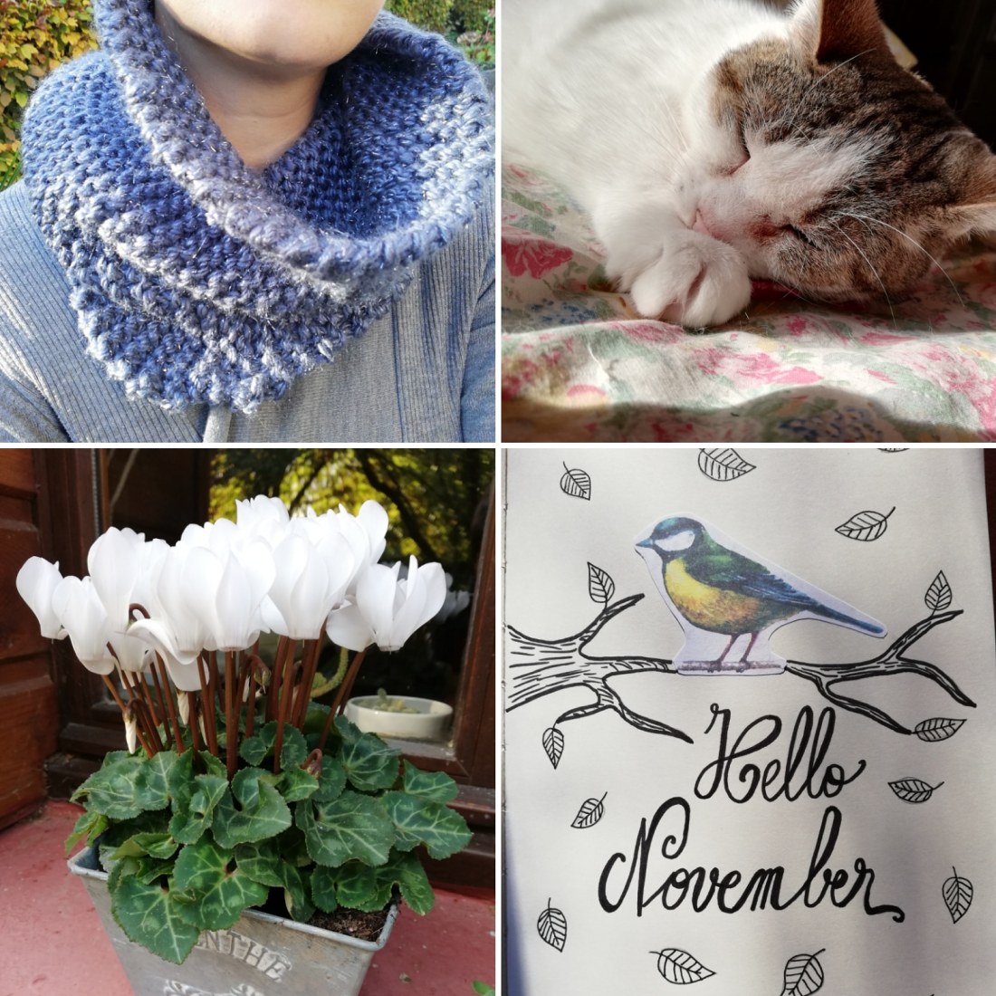 IMG_20181101_173227_888