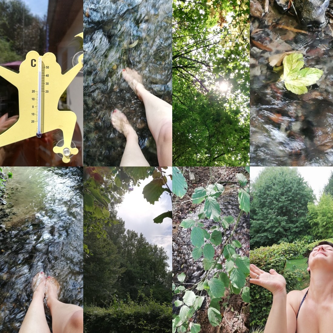 IMG_20180727_181922_619