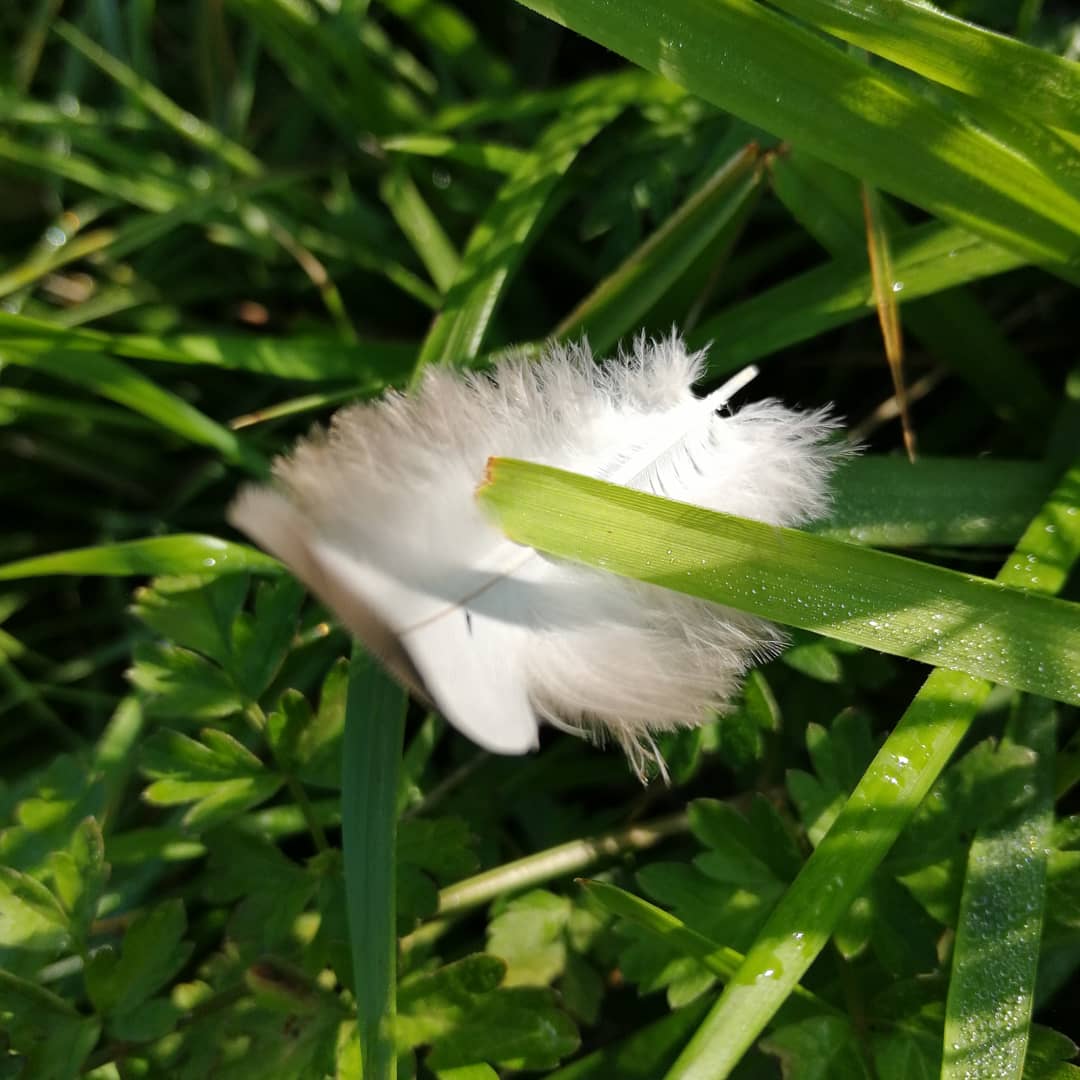 IMG_20190915_215243_221