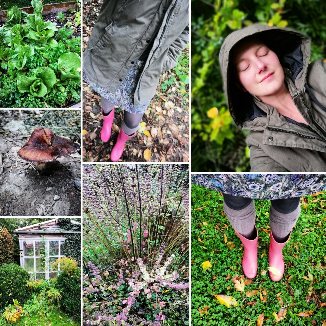 IMG_20191020_181448_271