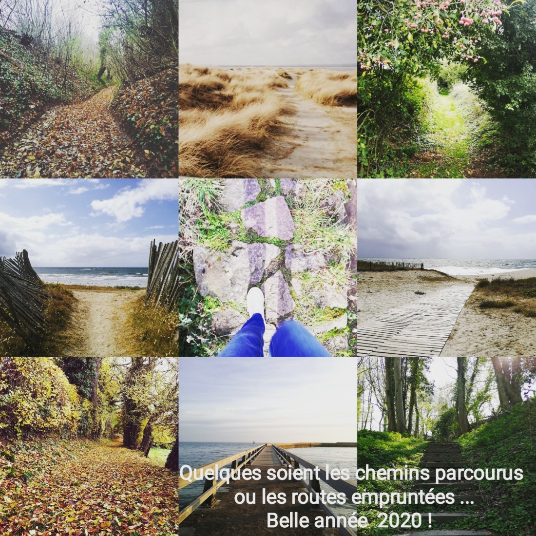 IMG_20200101_140152_366