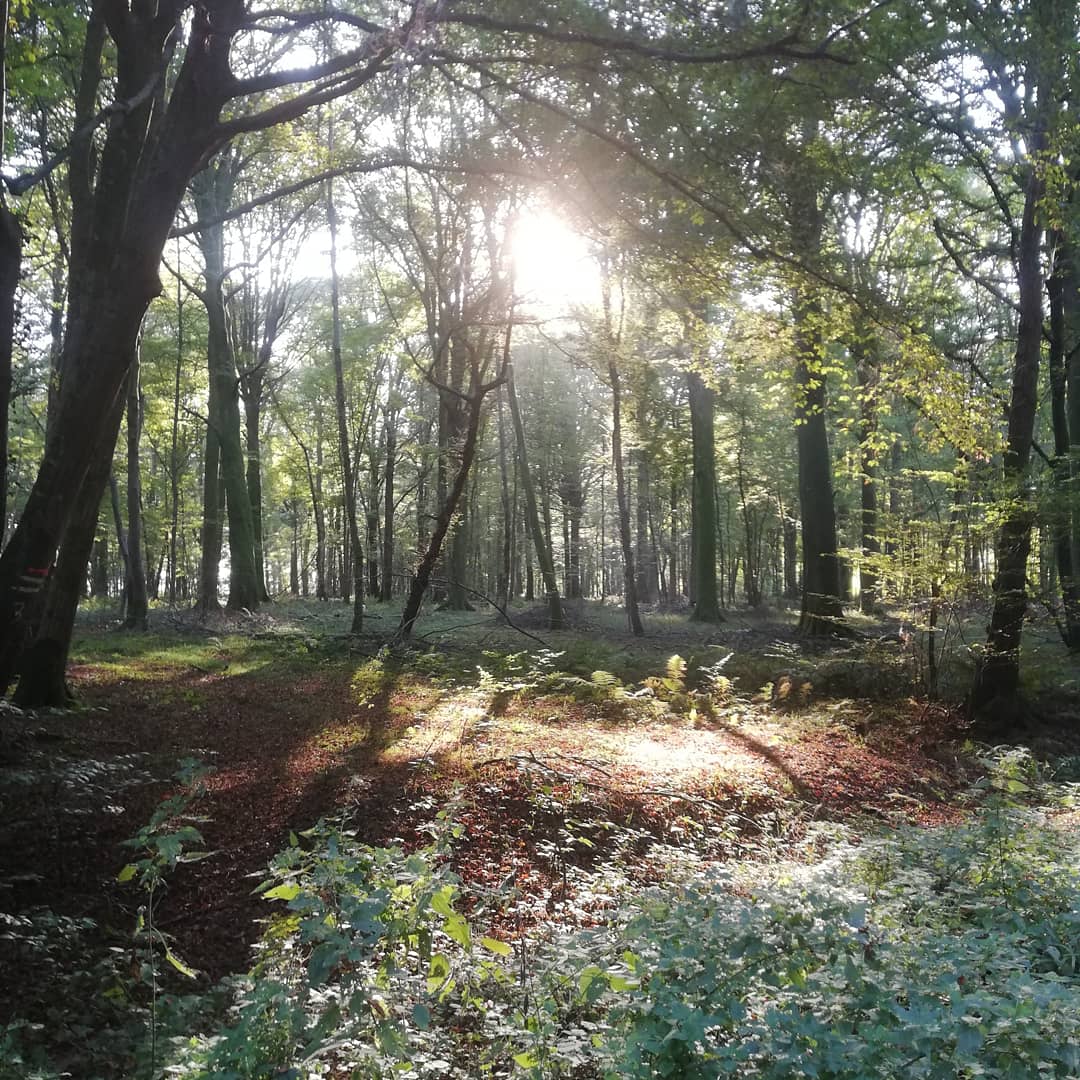 IMG_20181021_231918_350