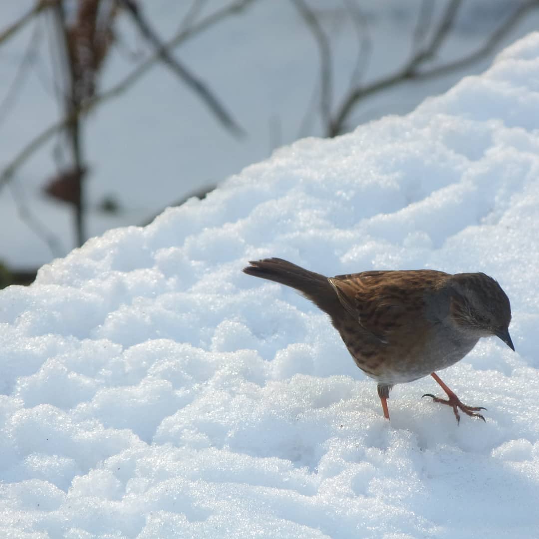 IMG_20190127_221753_384