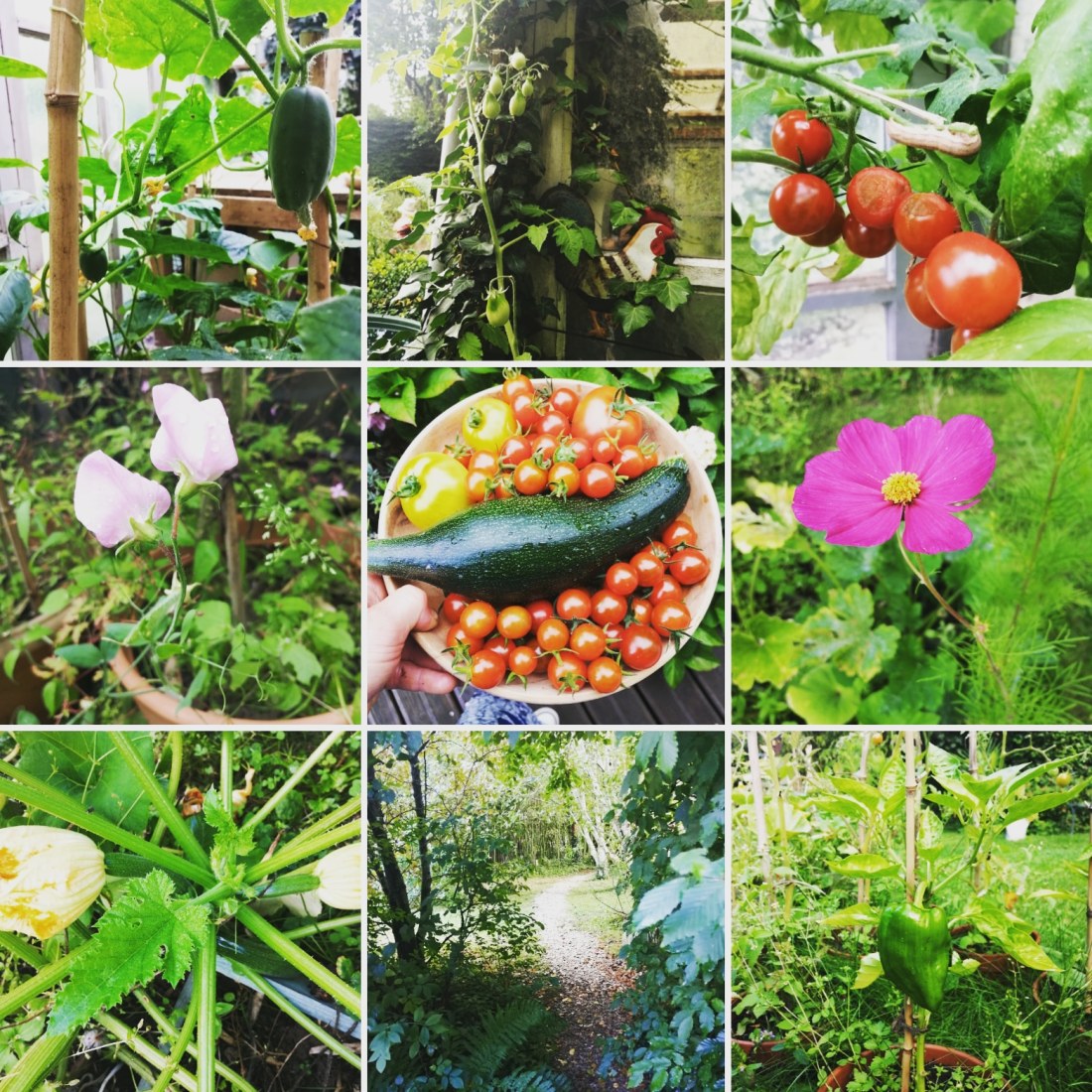 IMG_20200819_090723_125